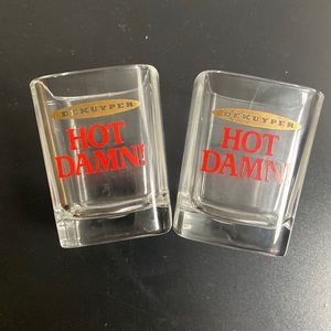 2 Hot Damn! Shot Glasses